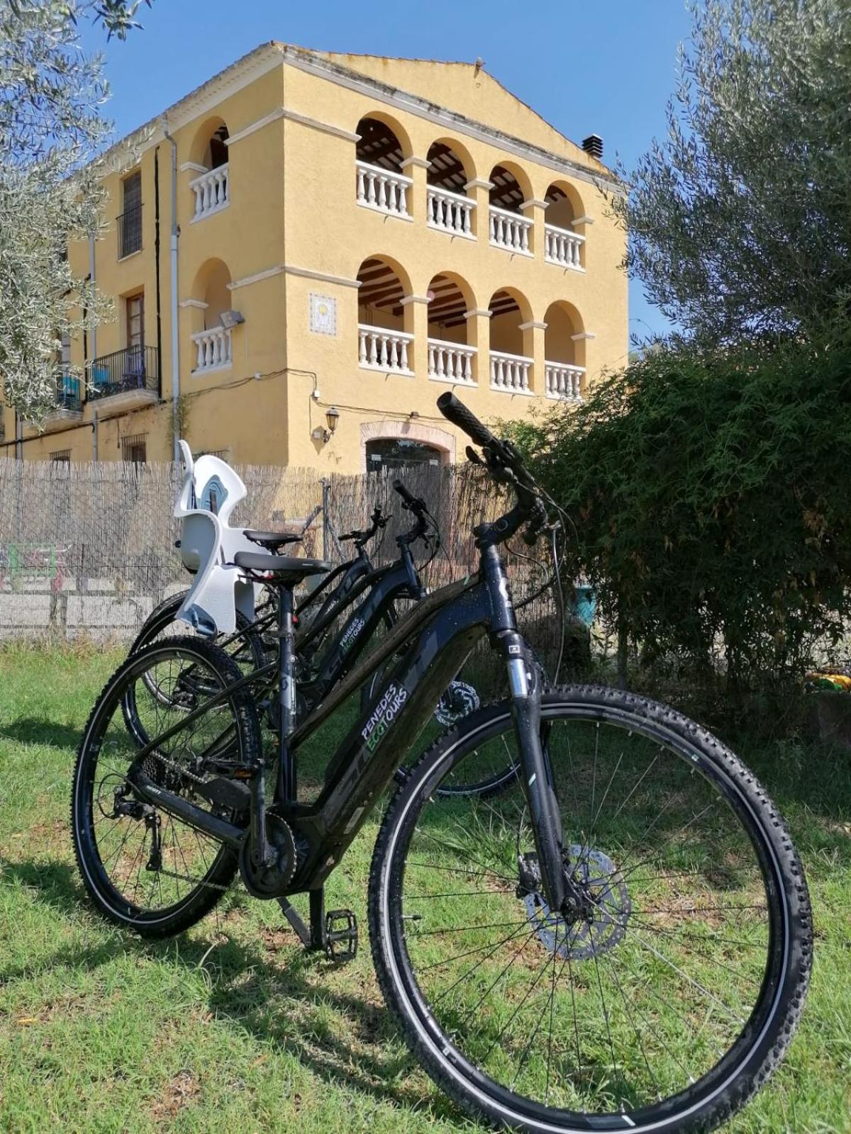 Maset Del Garraf Konuk evi Olesa de Bonesvalls Dış mekan fotoğraf